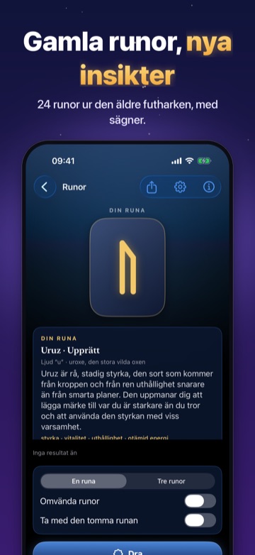 Gamla runor, nya insikter — 24 runor ur den äldre futharken, med sägner.